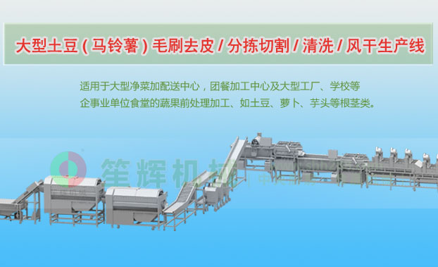 建水连续式土豆去皮清洗切割风干生产线